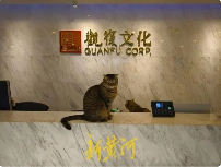马未都公司突然裁员80余人？多名被裁员工已申请仲裁等待开庭(图2)