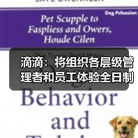 滴滴：将组织各层级管理者和员工体验全日制接单服务，提出改进计划（图1）