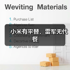 小米有平替,雷军无代餐(图3) 小米有平替,雷军无代餐(图3)