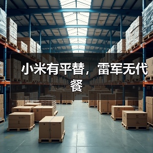 小米有平替,雷军无代餐(图4) 小米有平替,雷军无代餐(图4)