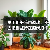 员工拒绝跨市调动,不去报到坚持在原岗打卡构成旷工吗?(二审判决)(图2) 员工拒绝跨市调动,不去报到坚持在原岗打卡构成旷工吗?(二审判决)(图2)