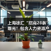 上海徐汇“招商28条”曝光!包含人力资源产业招商(图3) 上海徐汇“招商28条”曝光!包含人力资源产业招商(图3)