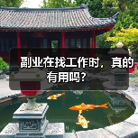 副业在找工作时,真的有用吗?(图1) 副业在找工作时,真的有用吗?(图1)