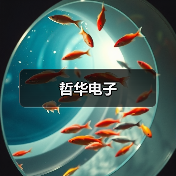 哲华电子（图2）