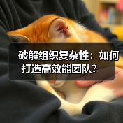 破解组织复杂性:如何打造高效能团队?(图4) 破解组织复杂性:如何打造高效能团队?(图4)