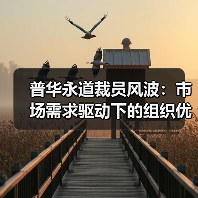 普华永道裁员风波:市场需求驱动下的组织优化?(图3) 普华永道裁员风波:市场需求驱动下的组织优化?(图3)