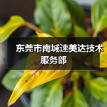 东莞市南城速美达技术服务部（图4）