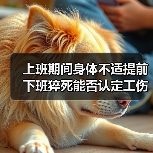 上班期间身体不适提前下班猝死能否认定工伤?最新判例分析(图4) 上班期间身体不适提前下班猝死能否认定工伤?最新判例分析(图4)