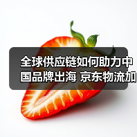 全球供应链如何助力中国品牌出海 京东物流加速布局海外网络（图4）