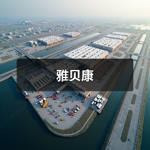 雅贝康（图2）