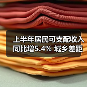 上半年居民可支配收入同比增5.4% 城乡差距明显?(图3) 上半年居民可支配收入同比增5.4% 城乡差距明显?(图3)