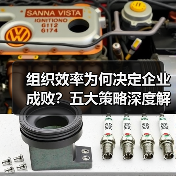 组织效率为何决定企业成败?五大策略深度解析(图3) 组织效率为何决定企业成败?五大策略深度解析(图3)