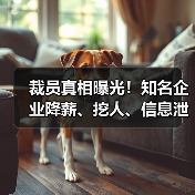 裁员真相曝光!知名企业降薪、挖人、信息泄露引热议(图4) 裁员真相曝光!知名企业降薪、挖人、信息泄露引热议(图4)