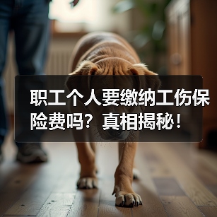职工个人要缴纳工伤保险费吗？真相揭秘！（图2）