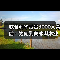 联合利华裁员3000人背后:为何剥离冰淇淋业务?(图1) 联合利华裁员3000人背后:为何剥离冰淇淋业务?(图1)