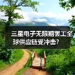 三星电子无限期罢工全球供应链受冲击?(图4) 三星电子无限期罢工全球供应链受冲击?(图4)