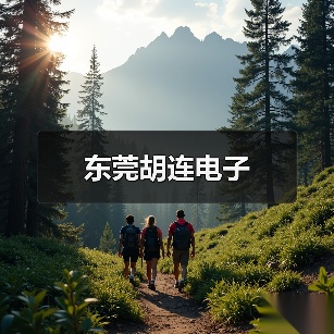 东莞胡连电子(图1) 东莞胡连电子(图1)