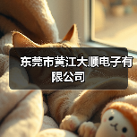 东莞市黄江大顺电子有限公司（图1）