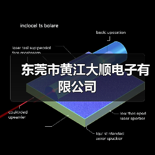 东莞市黄江大顺电子有限公司（图3）