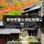 东莞市星火齿轮有限公司（图4）