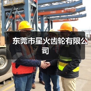 东莞市星火齿轮有限公司（图1）