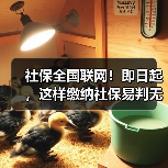 社保全国联网!即日起,这样缴纳社保易判无效(图2) 社保全国联网!即日起,这样缴纳社保易判无效(图2)