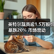 英特尔裁员逾1.5万股价暴跌20% 市场震动(图2) 英特尔裁员逾1.5万股价暴跌20% 市场震动(图2)