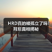 HRD真的被孤立了吗？背后真相揭秘（图4）