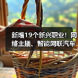 新增19个新兴职业！网络主播、智能网联汽车测试员上榜（图2）