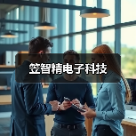 笠智精电子科技(图3) 笠智精电子科技(图3)