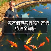 流产假算病假吗？产假待遇全解析（图1）