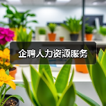 企聘人力资源服务（图1）