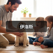 伊洛斯（图1）