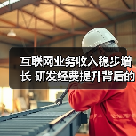 互联网业务收入稳步增长 研发经费提升背后的秘密（图1）