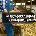 互联网业务收入稳步增长 研发经费提升背后的秘密（图3）