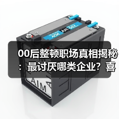 00后整顿职场真相揭秘:最讨厌哪类企业?喜欢怎样的工作环境?(图4) 00后整顿职场真相揭秘:最讨厌哪类企业?喜欢怎样的工作环境?(图4)