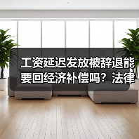 工资延迟发放被辞退能要回经济补偿吗？法律如何界定？（图3）