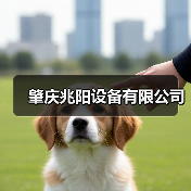 肇庆兆阳设备有限公司（图1）