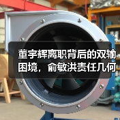 董宇辉离职背后的双输困境，俞敏洪责任几何？（图4）
