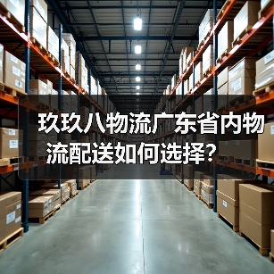 玖玖八物流广东省内物流配送如何选择？（图3）