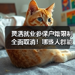 灵活就业参保户籍限制全面取消！哪些人群能享受？（图2）