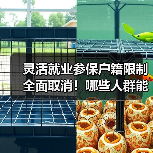灵活就业参保户籍限制全面取消！哪些人群能享受？（图4）