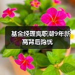 基金经理离职潮9年新高背后隐忧(图4) 基金经理离职潮9年新高背后隐忧(图4)