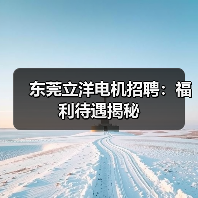 东莞立洋电机招聘：福利待遇揭秘（图1）