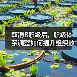 取消R职级后，职级体系调整如何提升组织效率？（图3）