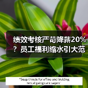 绩效考核严苛降薪20%?员工福利缩水引大范围不满(图2) 绩效考核严苛降薪20%?员工福利缩水引大范围不满(图2)