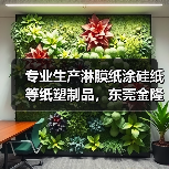 专业生产淋膜纸涂硅纸等纸塑制品，东莞金隆工业区优质供应商（图1）