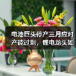 电池巨头停产三月应对产能过剩，锂电龙头如何破局？（图1）