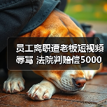 员工离职遭老板短视频辱骂 法院判赔偿5000元(图2) 员工离职遭老板短视频辱骂 法院判赔偿5000元(图2)