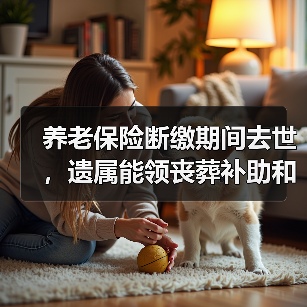 养老保险断缴期间去世，遗属能领丧葬补助和抚恤金吗？（图3）